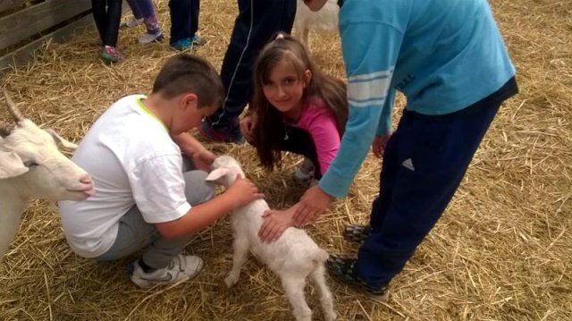 11391525_854121314684003_3336703254160132265_n