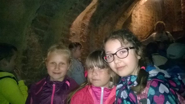 13428611_1035026419926824_1058804570702135779_n