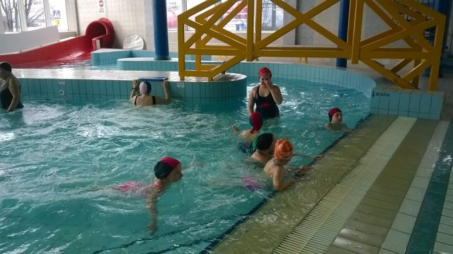 12832543_972212419541558_2053279010829697763_n