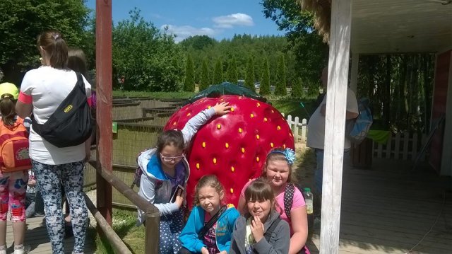 13346830_1031931140236352_4649982964012290099_n