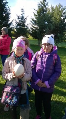 12074502_903513556411445_1070075267160373335_n