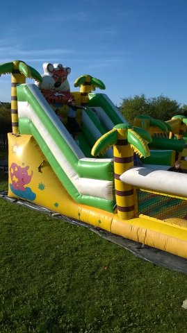 12088383_906646356098165_2789189844213913912_n