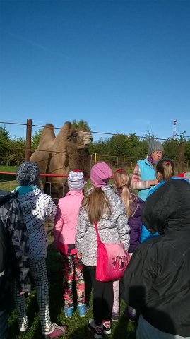 12109301_906646262764841_1823043904592880807_n