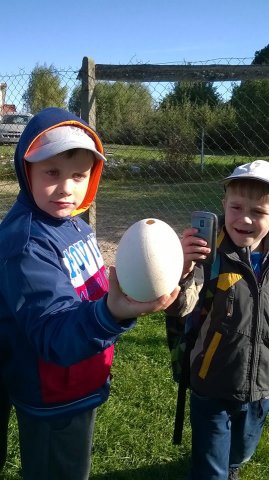 12109309_906645736098227_6472565075832374842_n