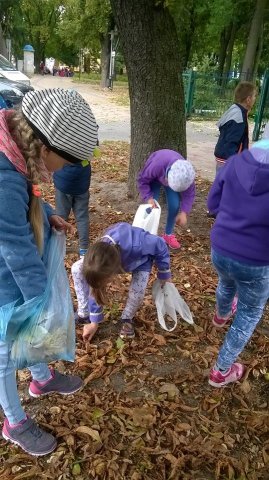 14463143_1114281308668001_5696832264287962157_n